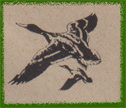 duckback logo